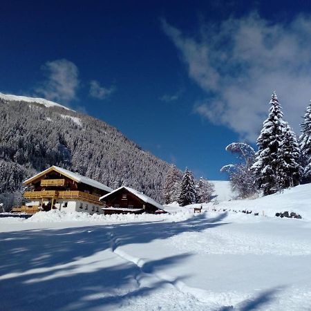Bed & Breakfast Dolomiti Bey Haus Pinter Assling Exteriör bild