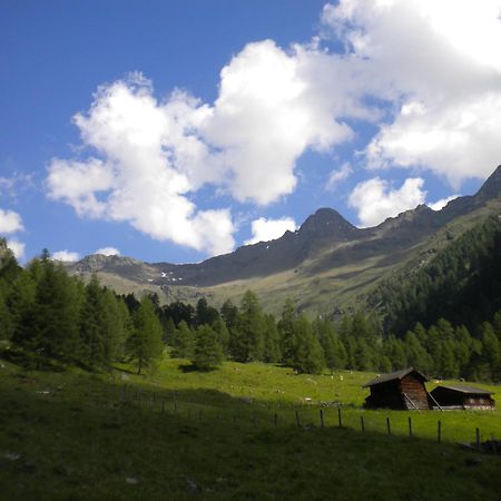 Bed & Breakfast Dolomiti Bey Haus Pinter Assling Exteriör bild