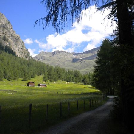 Bed & Breakfast Dolomiti Bey Haus Pinter Assling Exteriör bild