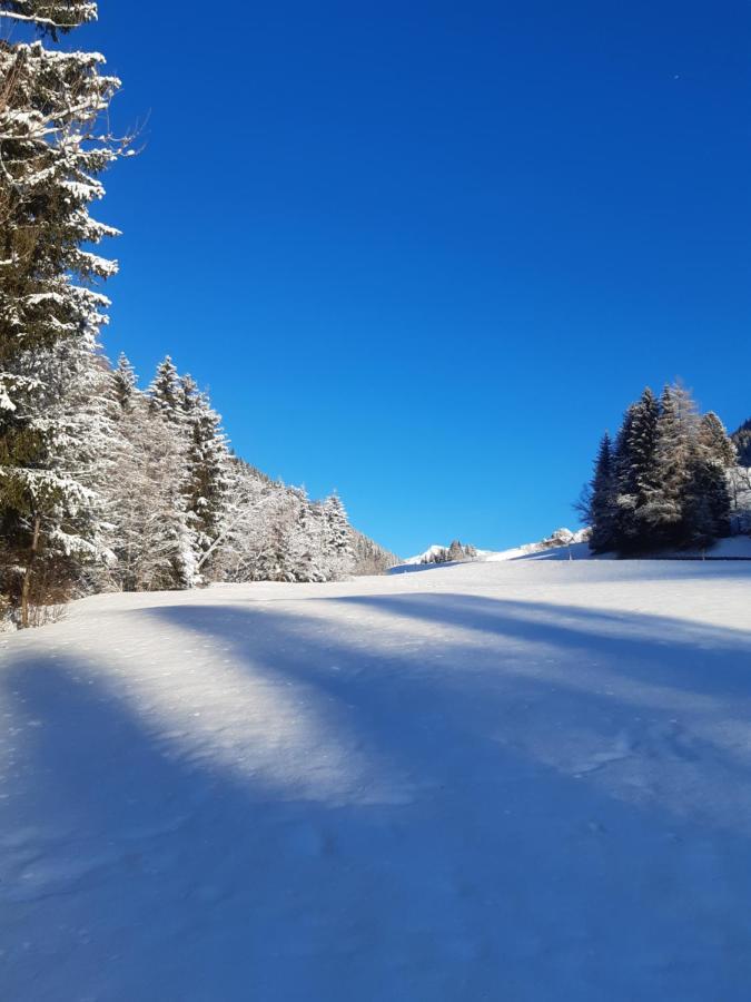 Bed & Breakfast Dolomiti Bey Haus Pinter Assling Exteriör bild