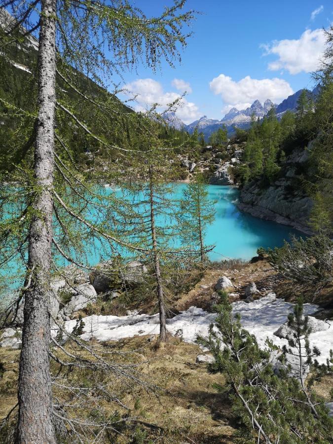 Bed & Breakfast Dolomiti Bey Haus Pinter Assling Exteriör bild