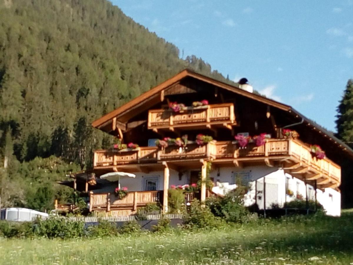 Bed & Breakfast Dolomiti Bey Haus Pinter Assling Exteriör bild