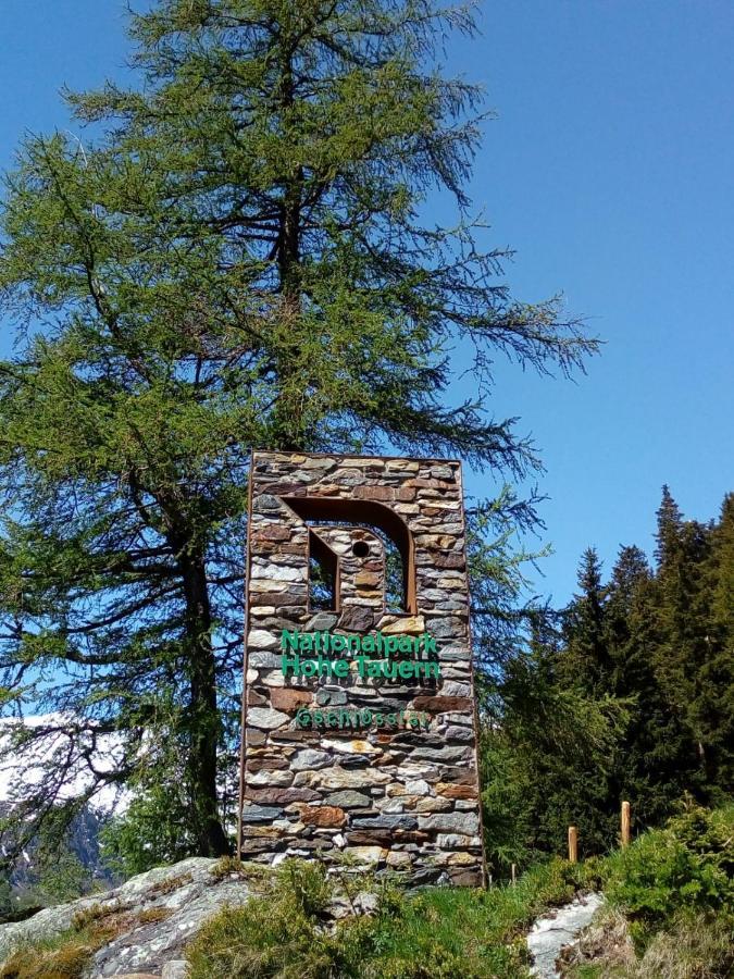 Bed & Breakfast Dolomiti Bey Haus Pinter Assling Exteriör bild