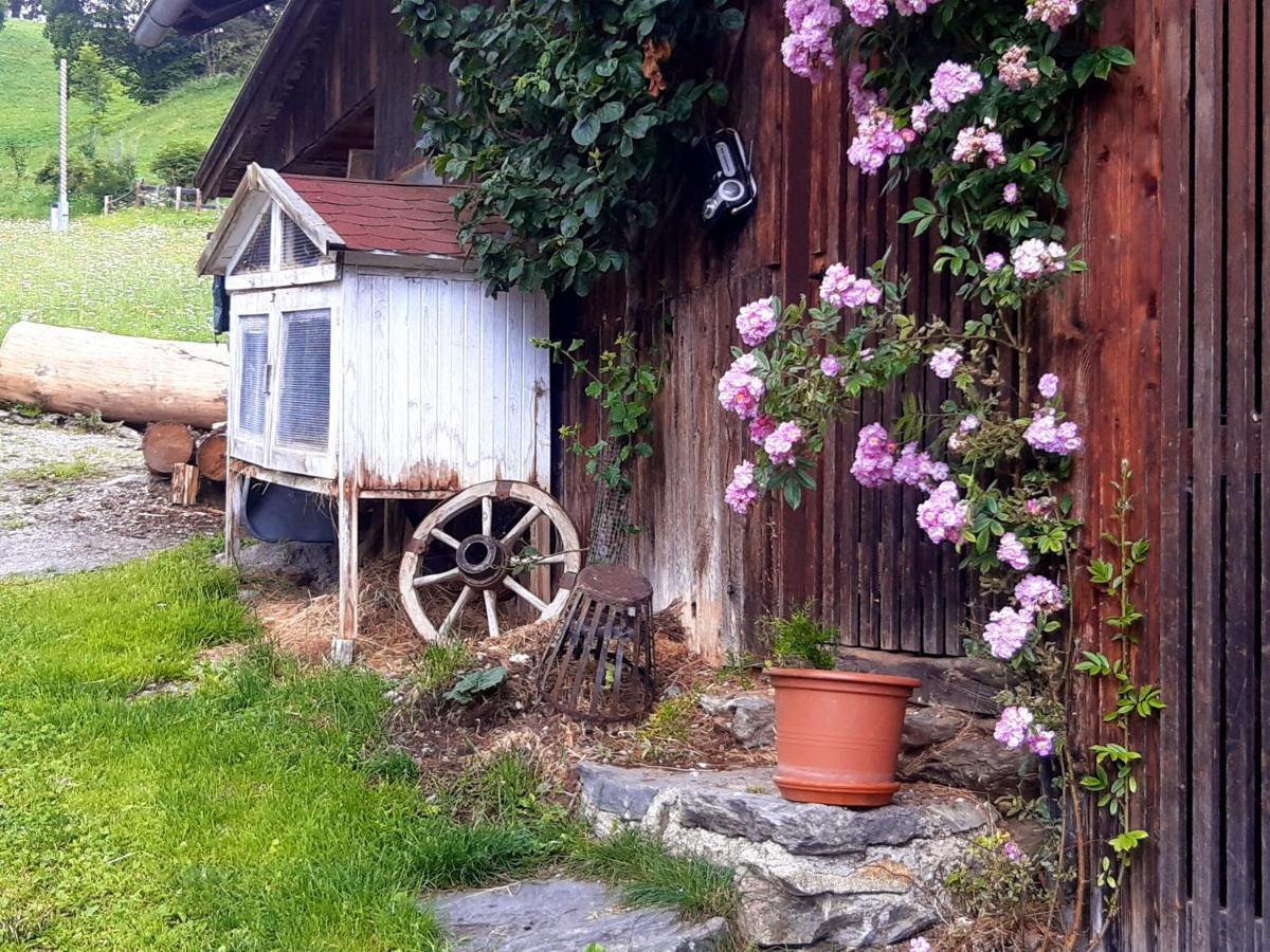 Bed & Breakfast Dolomiti Bey Haus Pinter Assling Exteriör bild
