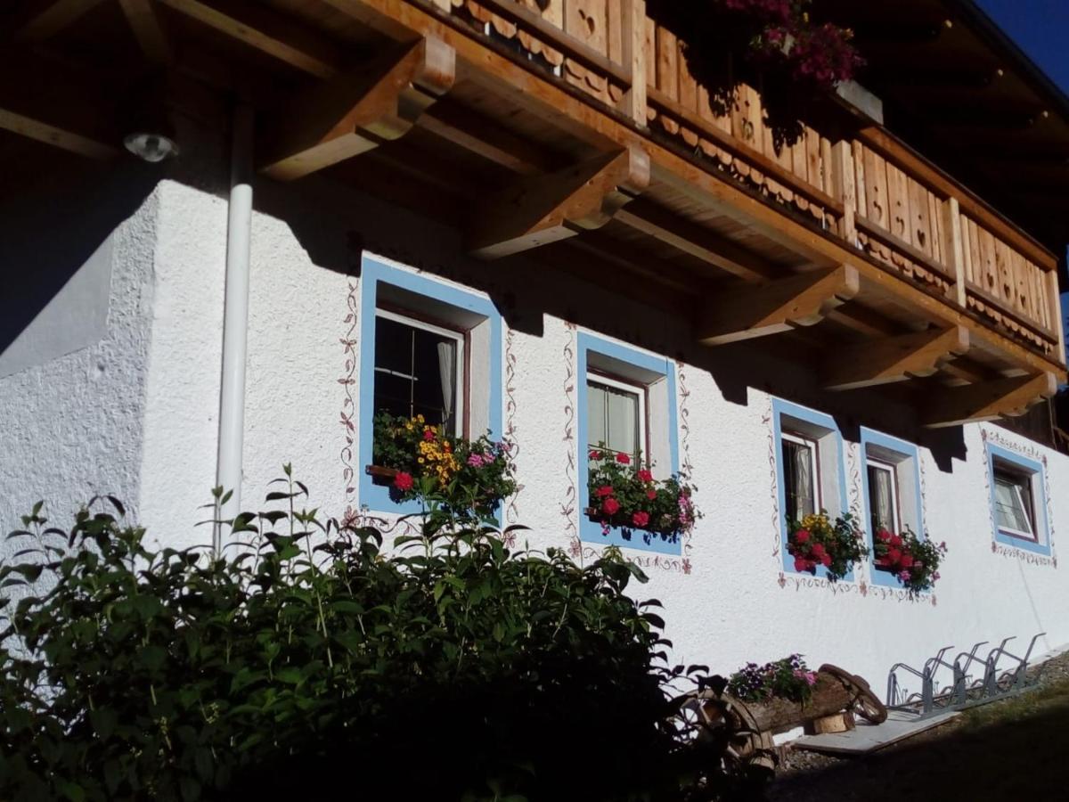 Bed & Breakfast Dolomiti Bey Haus Pinter Assling Exteriör bild