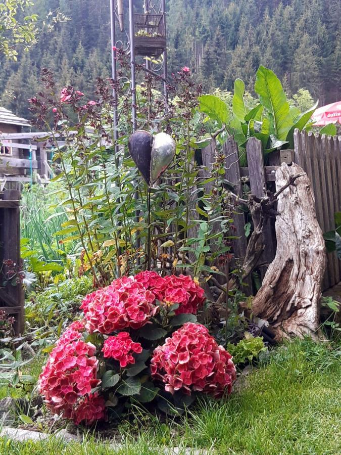 Bed & Breakfast Dolomiti Bey Haus Pinter Assling Exteriör bild
