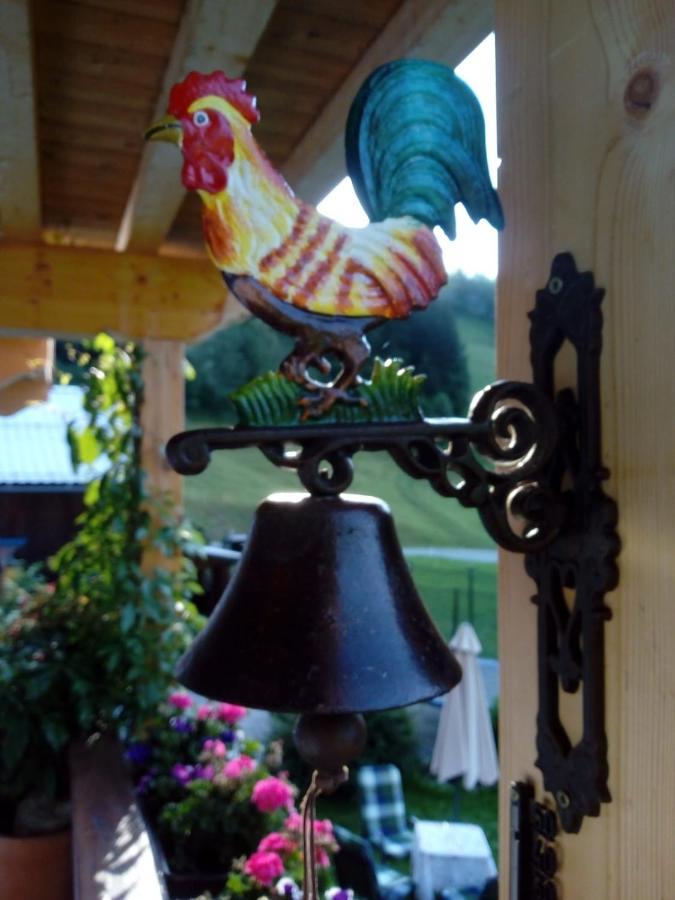 Bed & Breakfast Dolomiti Bey Haus Pinter Assling Exteriör bild