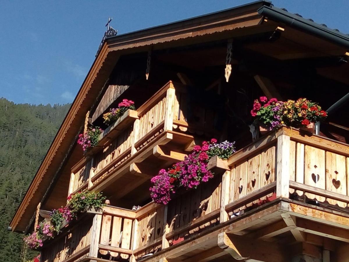 Bed & Breakfast Dolomiti Bey Haus Pinter Assling Exteriör bild