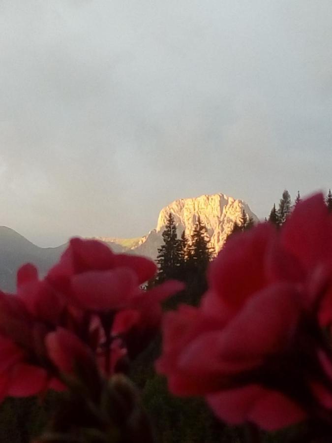 Bed & Breakfast Dolomiti Bey Haus Pinter Assling Exteriör bild