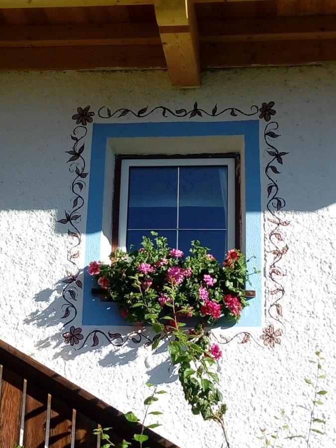 Bed & Breakfast Dolomiti Bey Haus Pinter Assling Exteriör bild