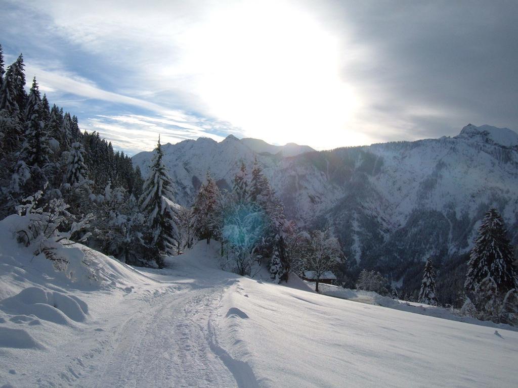 Bed & Breakfast Dolomiti Bey Haus Pinter Assling Exteriör bild