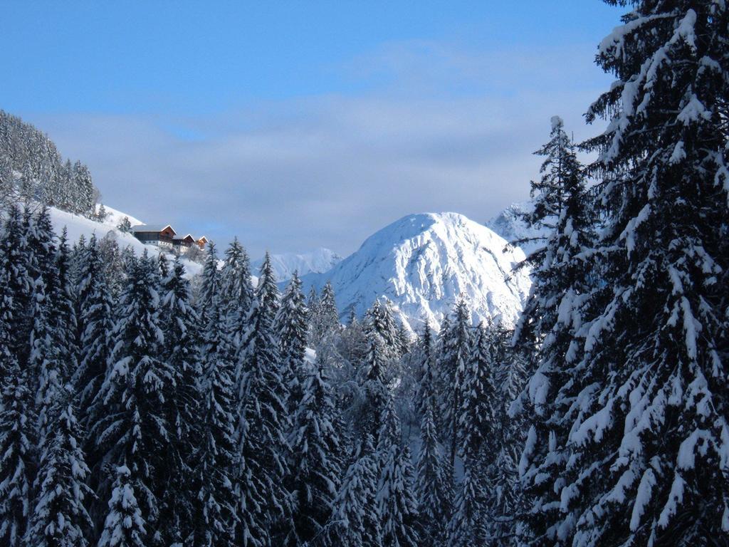 Bed & Breakfast Dolomiti Bey Haus Pinter Assling Exteriör bild