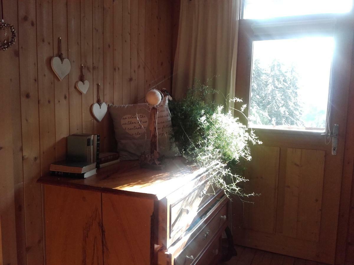Bed & Breakfast Dolomiti Bey Haus Pinter Assling Exteriör bild