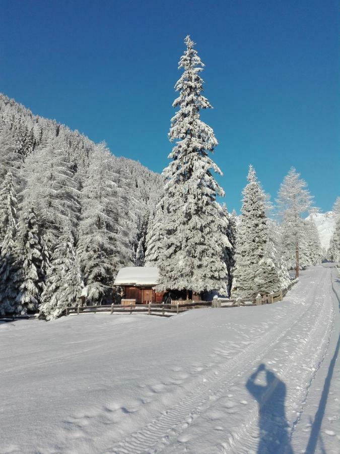 Bed & Breakfast Dolomiti Bey Haus Pinter Assling Exteriör bild